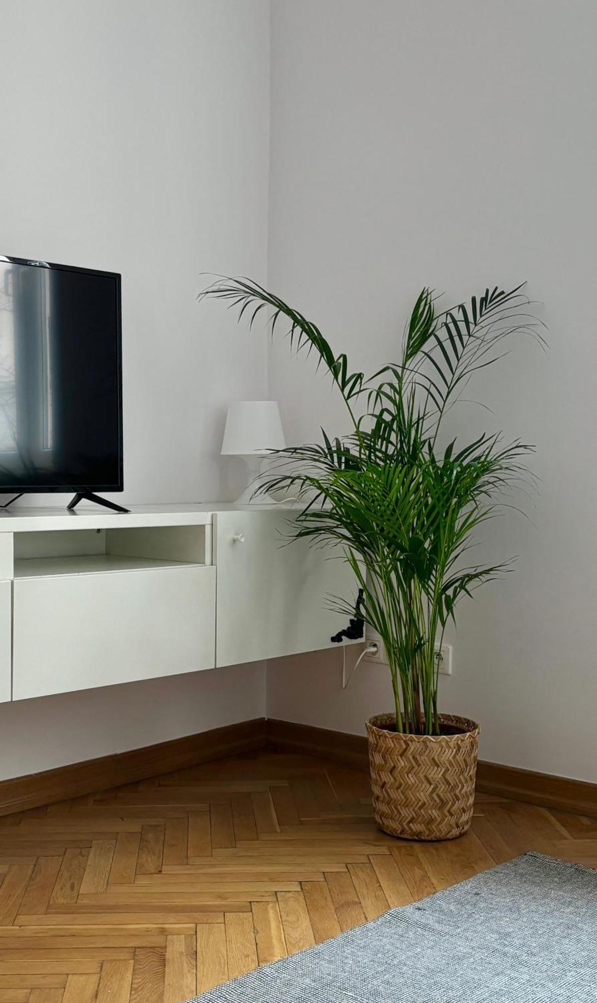 Apartament K3 华沙 外观 照片